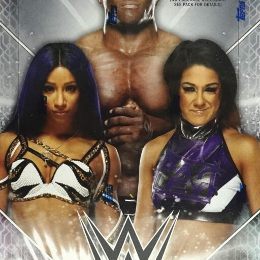 2021 Topps WWE Hobby Box