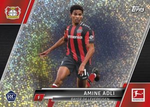 Base, Amine Adli
