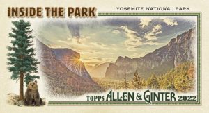 Inside the Park Mini Insert Card