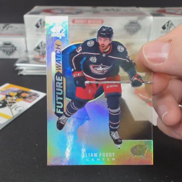 2020-21 Upper Deck SP Authentic Hockey 3