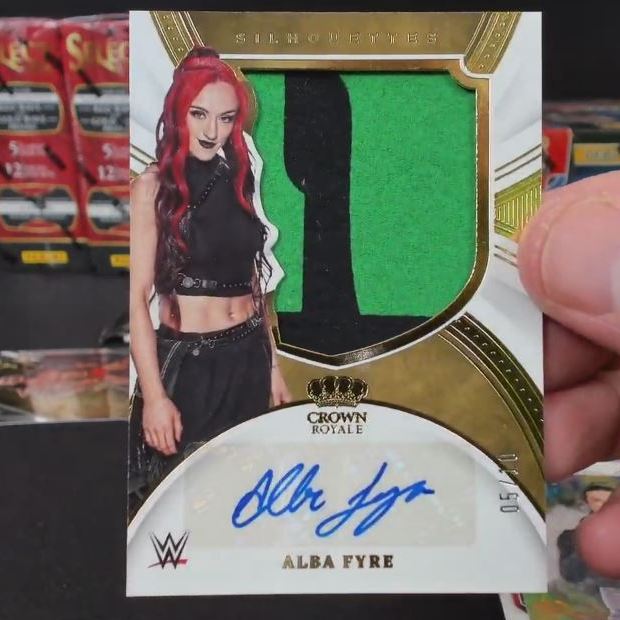 WWE Panini 11