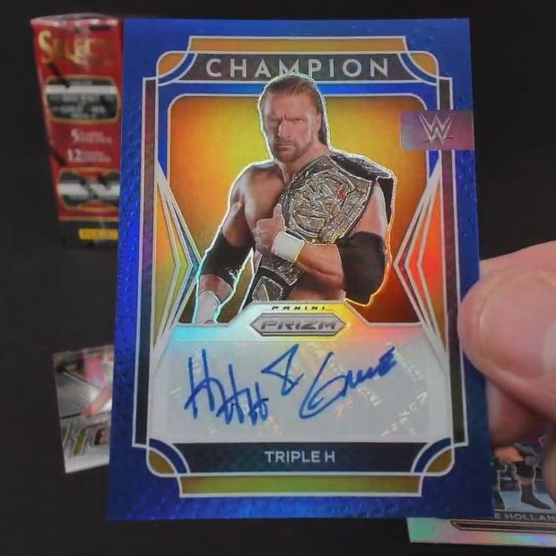 WWE Panini 12