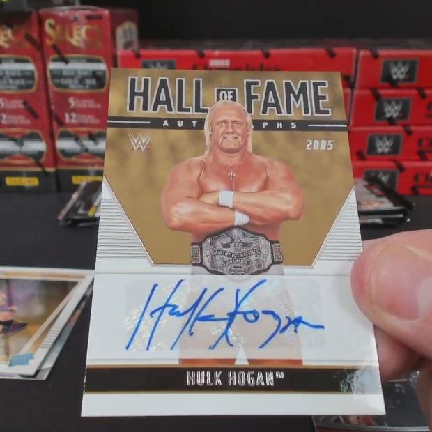 WWE Panini 1