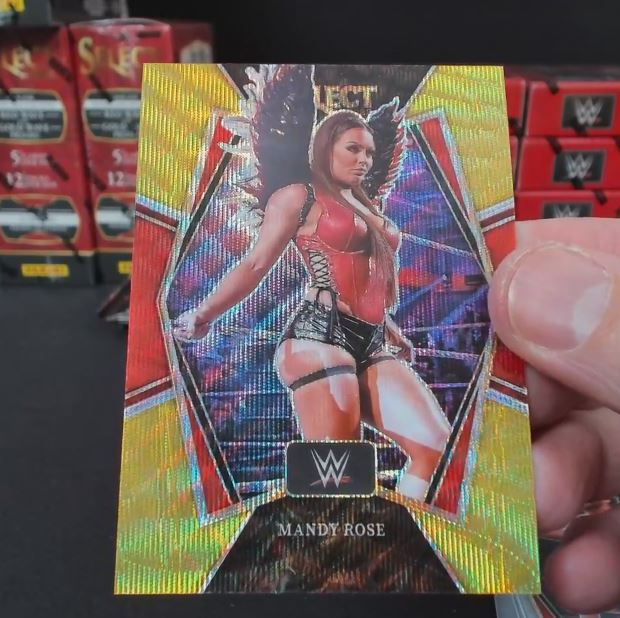 WWE Panini 1