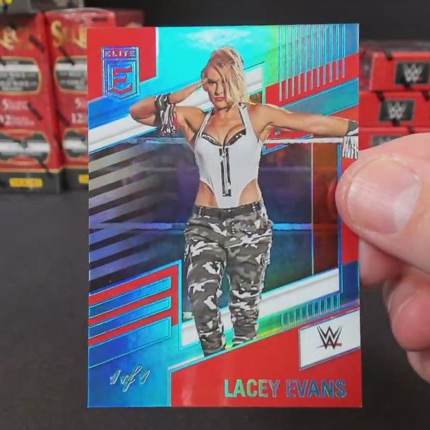 WWE Panini 6