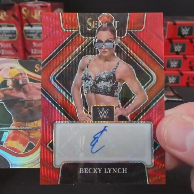 WWE Panini 7