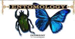 2022 Upper Deck Goodwin Champions - Entomology
