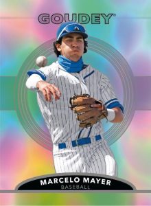 PLATINUM VARIANTS, Marcelo Mayer