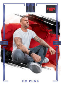 BASE AMETHYST, CM Punk